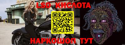 гашик Бузулук