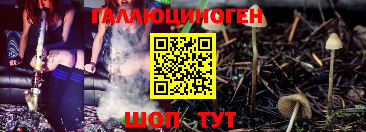Галлюциногенные грибы Cubensis Нефтекумск